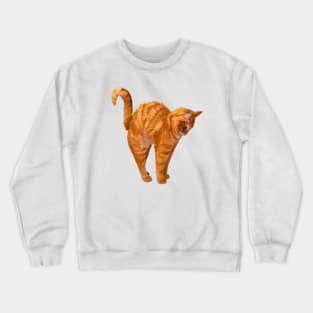 Orange Stretch Crewneck Sweatshirt